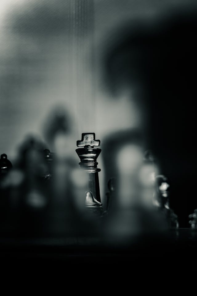 Black and White King Chess Piece